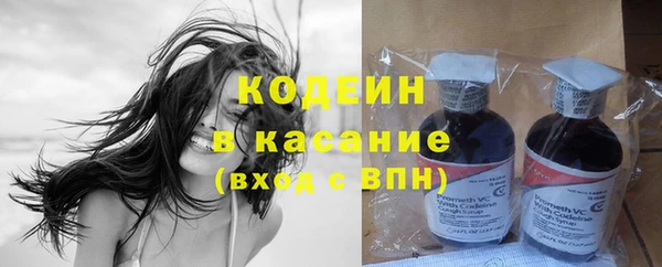 2c-b Горнозаводск