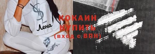 ПСИЛОЦИБИНОВЫЕ ГРИБЫ Горно-Алтайск