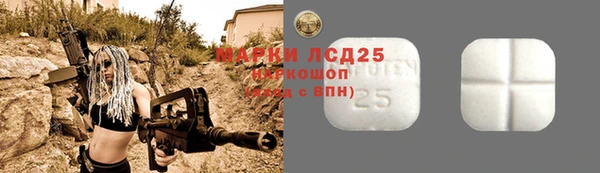 ПСИЛОЦИБИНОВЫЕ ГРИБЫ Горно-Алтайск