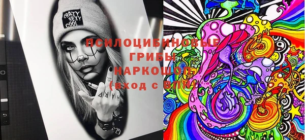 ПСИЛОЦИБИНОВЫЕ ГРИБЫ Горно-Алтайск