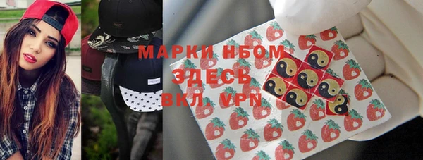 ПСИЛОЦИБИНОВЫЕ ГРИБЫ Горно-Алтайск