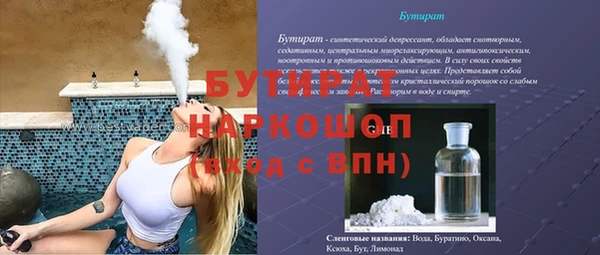 шишки Гусь-Хрустальный