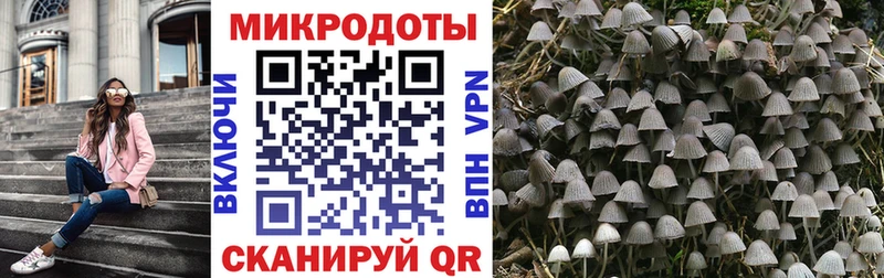 Галлюциногенные грибы Psilocybine cubensis  Щучье 